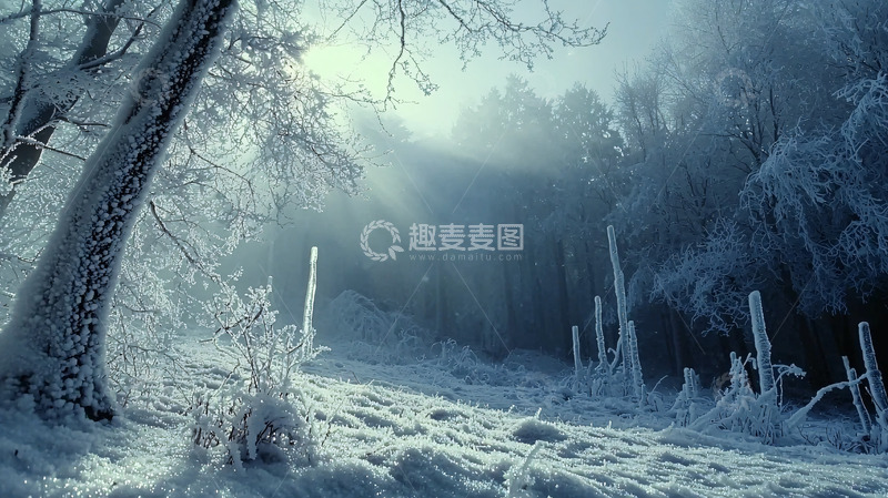 高清大图下载【趣麦麦图】冰雪森林
