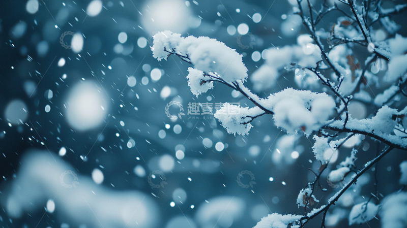 高清大图下载【趣麦麦图】下雪的树枝