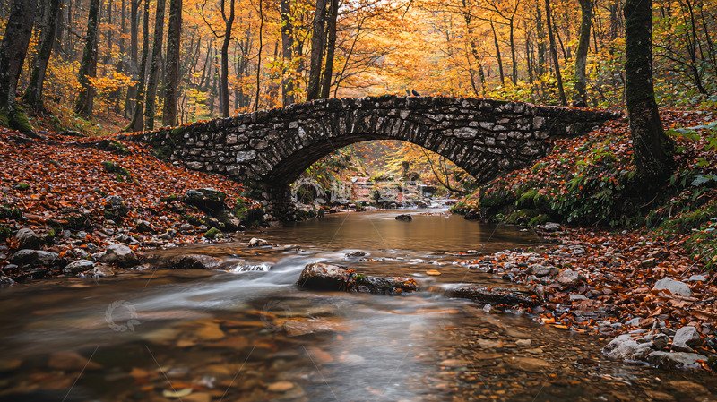 高清大图下载【趣麦麦图】秋日森林石桥流水