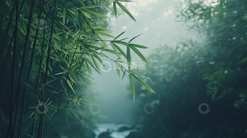 高清大图下载【趣麦麦图】清晨竹林小溪