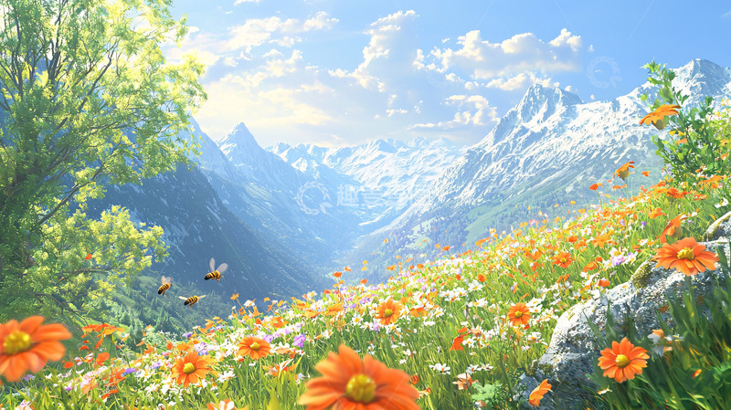 高清大图下载【趣麦麦图】春光明媚的山谷野花