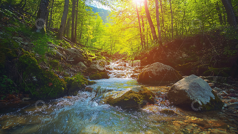 高清大图下载【趣麦麦图】森林溪流