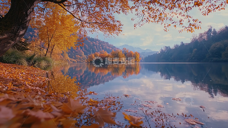 高清大图下载【趣麦麦图】秋叶倒映湖面