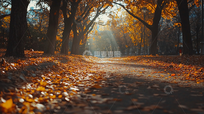 高清大图下载【趣麦麦图】秋日森林小路