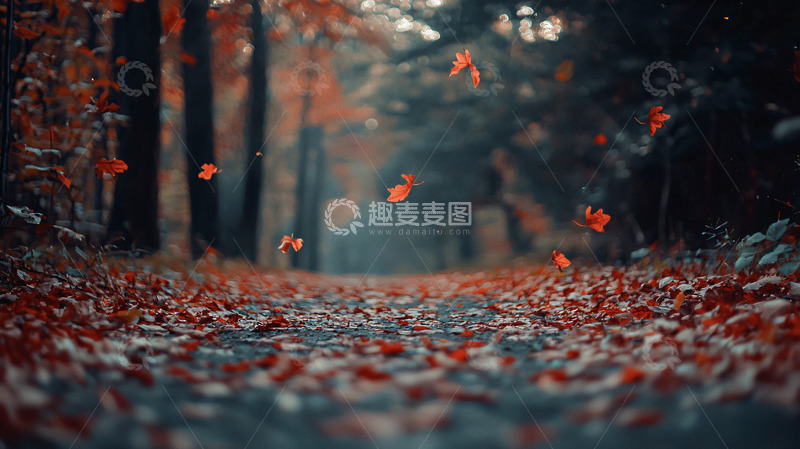 高清大图下载【趣麦麦图】秋季落叶小路