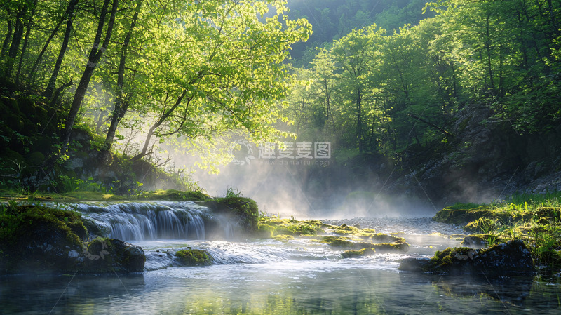 高清大图下载【趣麦麦图】清晨森林溪流
