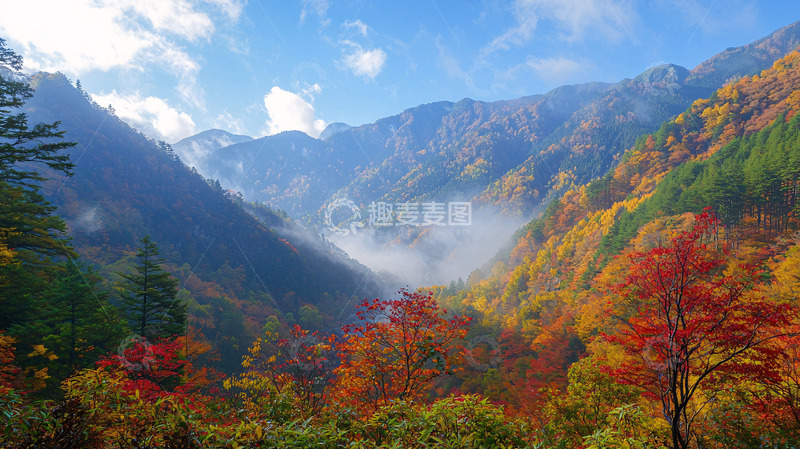 高清大图下载【趣麦麦图】秋日山谷云雾缭绕