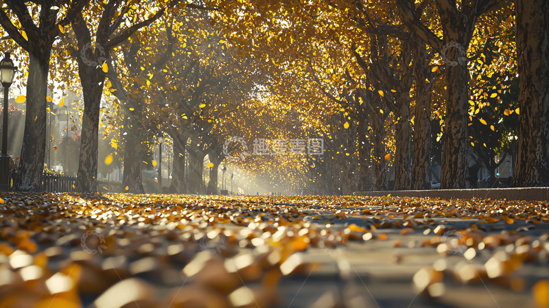 高清大图下载【趣麦麦图】金秋时节落叶小路