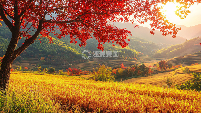高清大图下载【趣麦麦图】秋日田园风光2