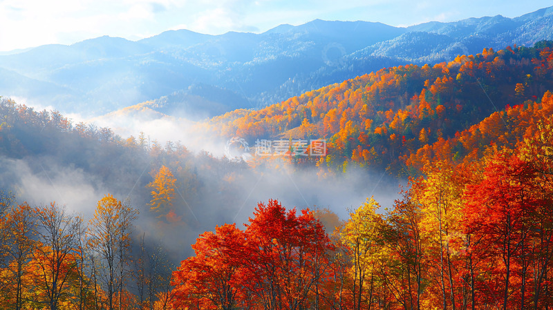 高清大图下载【趣麦麦图】秋日山林雾气朦胧