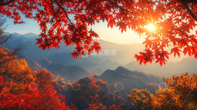 高清大图下载【趣麦麦图】秋日红叶山景