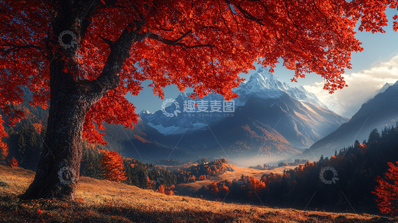 高清大图下载【趣麦麦图】红枫树下的雪山秋景