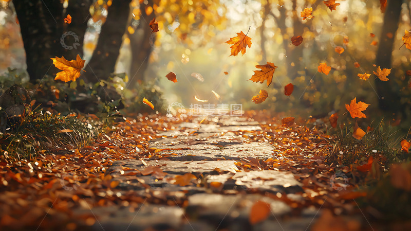 高清大图下载【趣麦麦图】秋叶小路