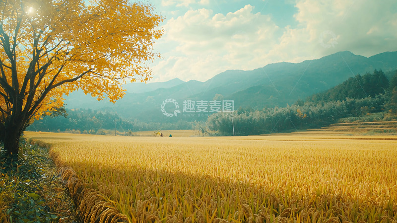 高清大图下载【趣麦麦图】秋日田园风光5