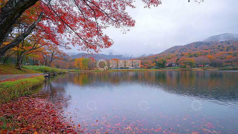 高清大图下载【趣麦麦图】秋叶倒映湖面