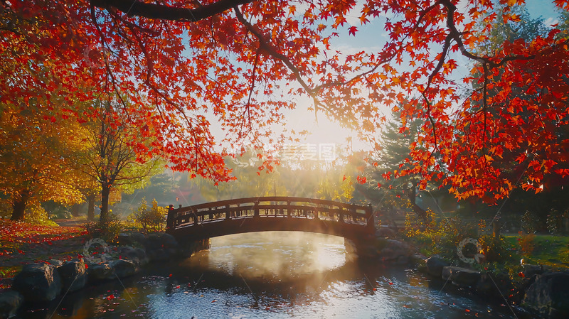 高清大图下载【趣麦麦图】秋日红叶桥