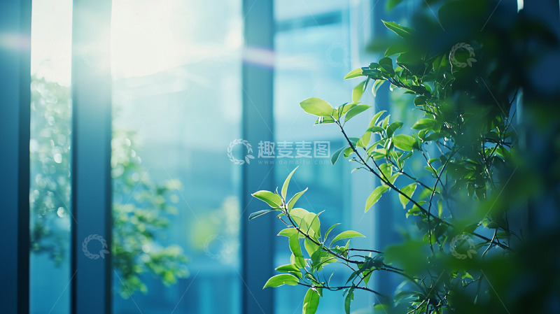 高清大图下载【趣麦麦图】阳光透过玻璃照射绿植
