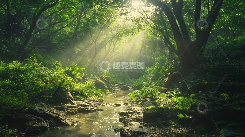 高清大图下载【趣麦麦图】森林溪流阳光
