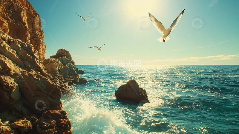 高清大图下载【趣麦麦图】阳光大海岩石海鸥