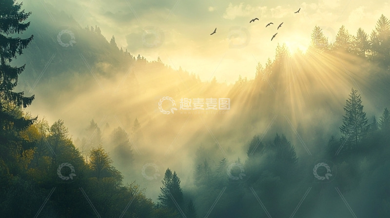 高清大图下载【趣麦麦图】清晨森林薄雾阳光