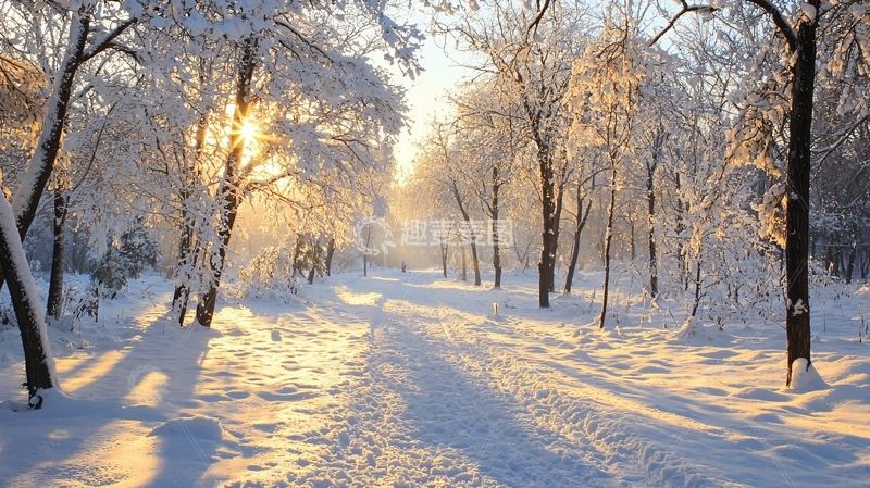 高清大图下载【趣麦麦图】冬日雪景森林小路日出