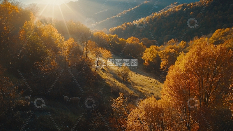 高清大图下载【趣麦麦图】秋日山林晨曦