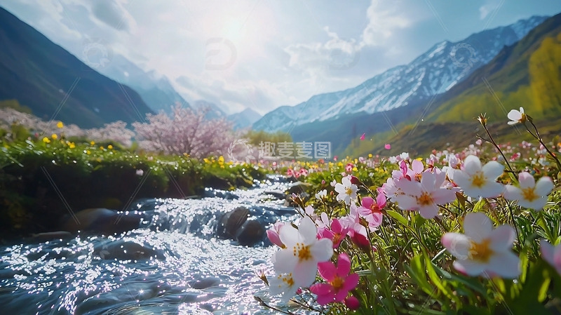 高清大图下载【趣麦麦图】山间溪流盛开鲜花