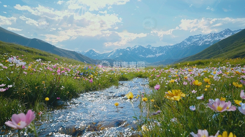 高清大图下载【趣麦麦图】山谷溪流野花盛开