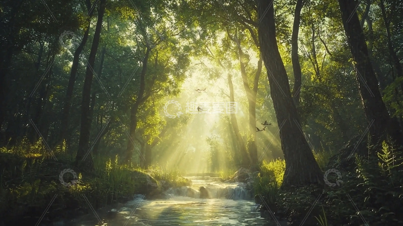 高清大图下载【趣麦麦图】森林溪流阳光