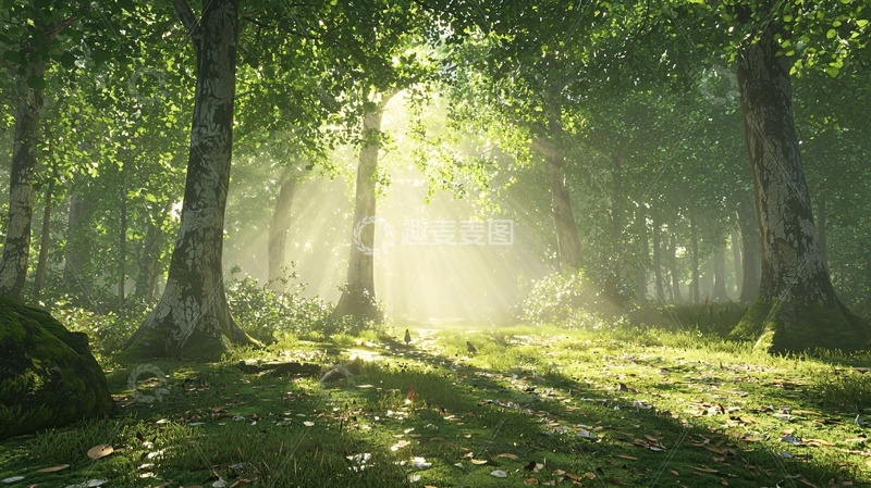 高清大图下载【趣麦麦图】阳光森林