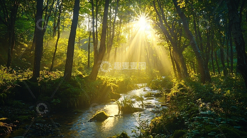 高清大图下载【趣麦麦图】森林阳光溪流