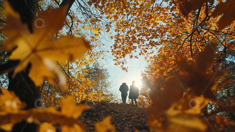 高清大图下载【趣麦麦图】秋日森林情侣漫步