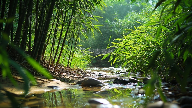 高清大图下载【趣麦麦图】竹林溪流