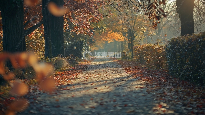 高清大图下载【趣麦麦图】秋日小路