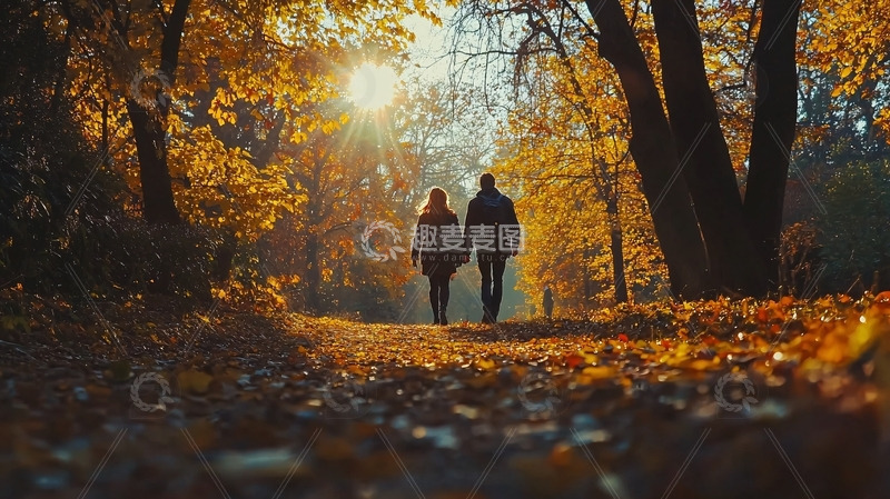 高清大图下载【趣麦麦图】秋日情侣漫步林间