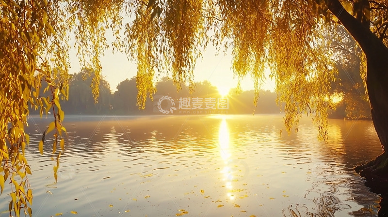 高清大图下载【趣麦麦图】秋日清晨湖边垂柳