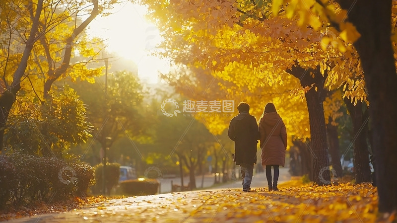 高清大图下载【趣麦麦图】秋日情侣漫步金黄落叶