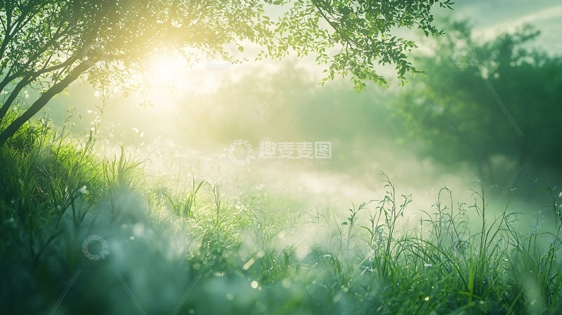 高清大图下载【趣麦麦图】清晨森林雾气阳光