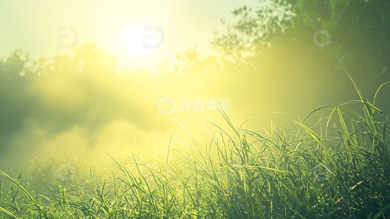 高清大图下载【趣麦麦图】清晨阳光雾气草地