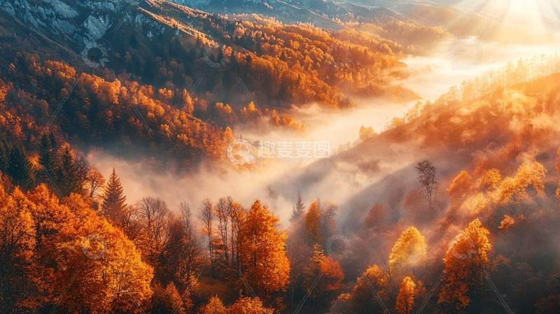 高清大图下载【趣麦麦图】秋日森林晨曦