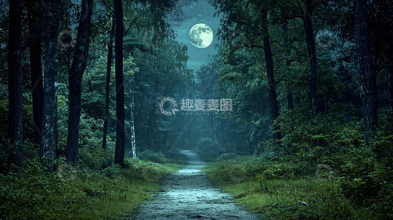 高清大图下载【趣麦麦图】月光森林小路