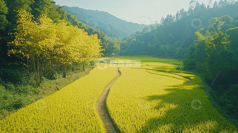 高清大图下载【趣麦麦图】秋日田园风光7