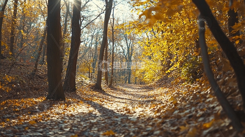 高清大图下载【趣麦麦图】秋日森林小路