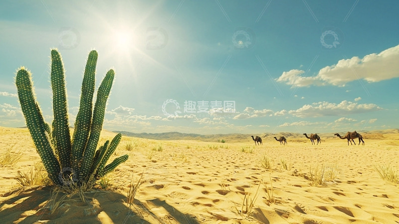 高清大图下载【趣麦麦图】沙漠风景