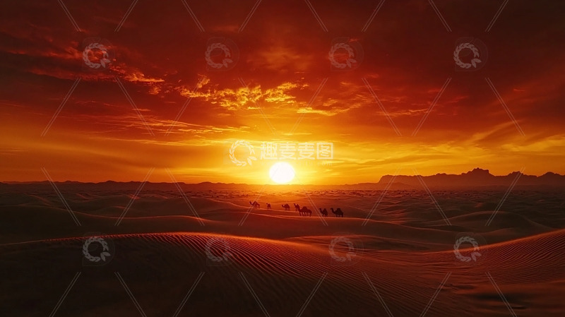 高清大图下载【趣麦麦图】沙漠日落驼队