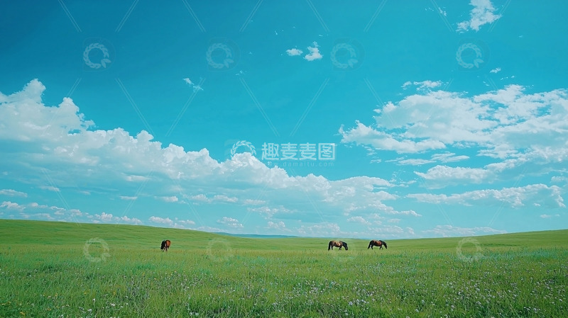 高清大图下载【趣麦麦图】草原