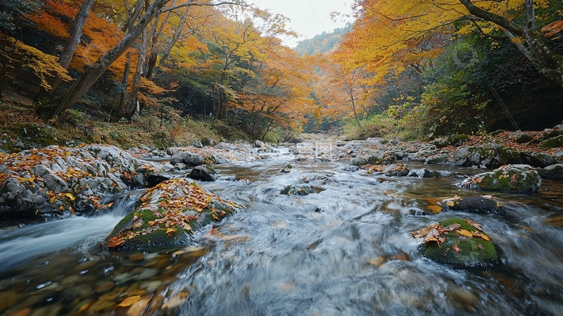 高清大图下载【趣麦麦图】秋日山间溪流