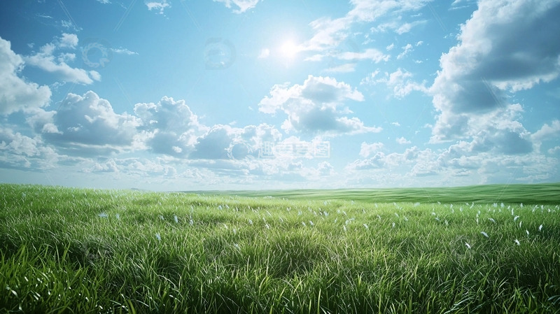 高清大图下载【趣麦麦图】阳光明媚的绿色田野