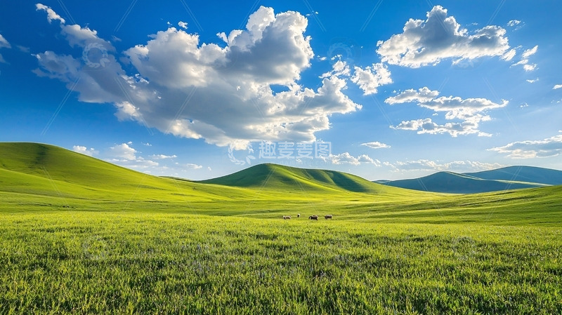 高清大图下载【趣麦麦图】绿色草原