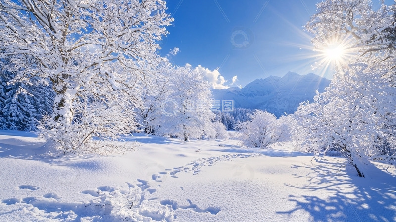 高清大图下载【趣麦麦图】雪景